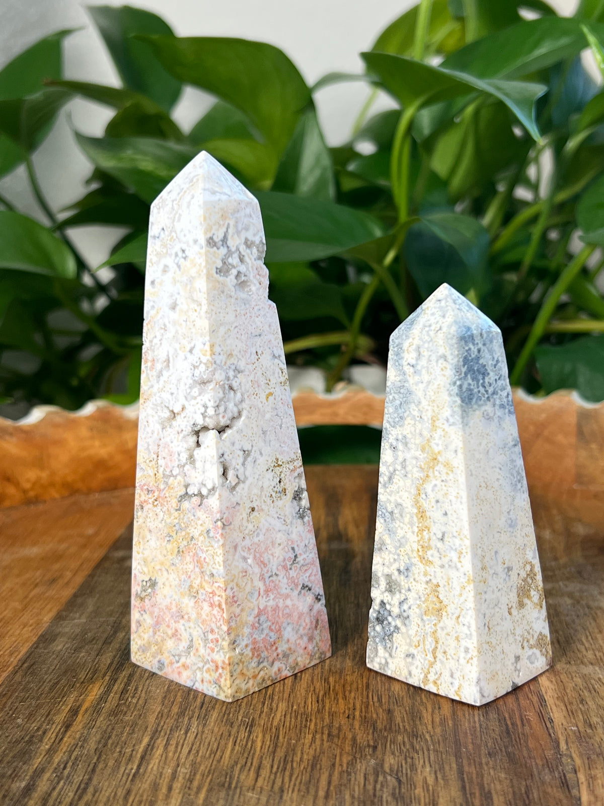 Sea Jasper Towers