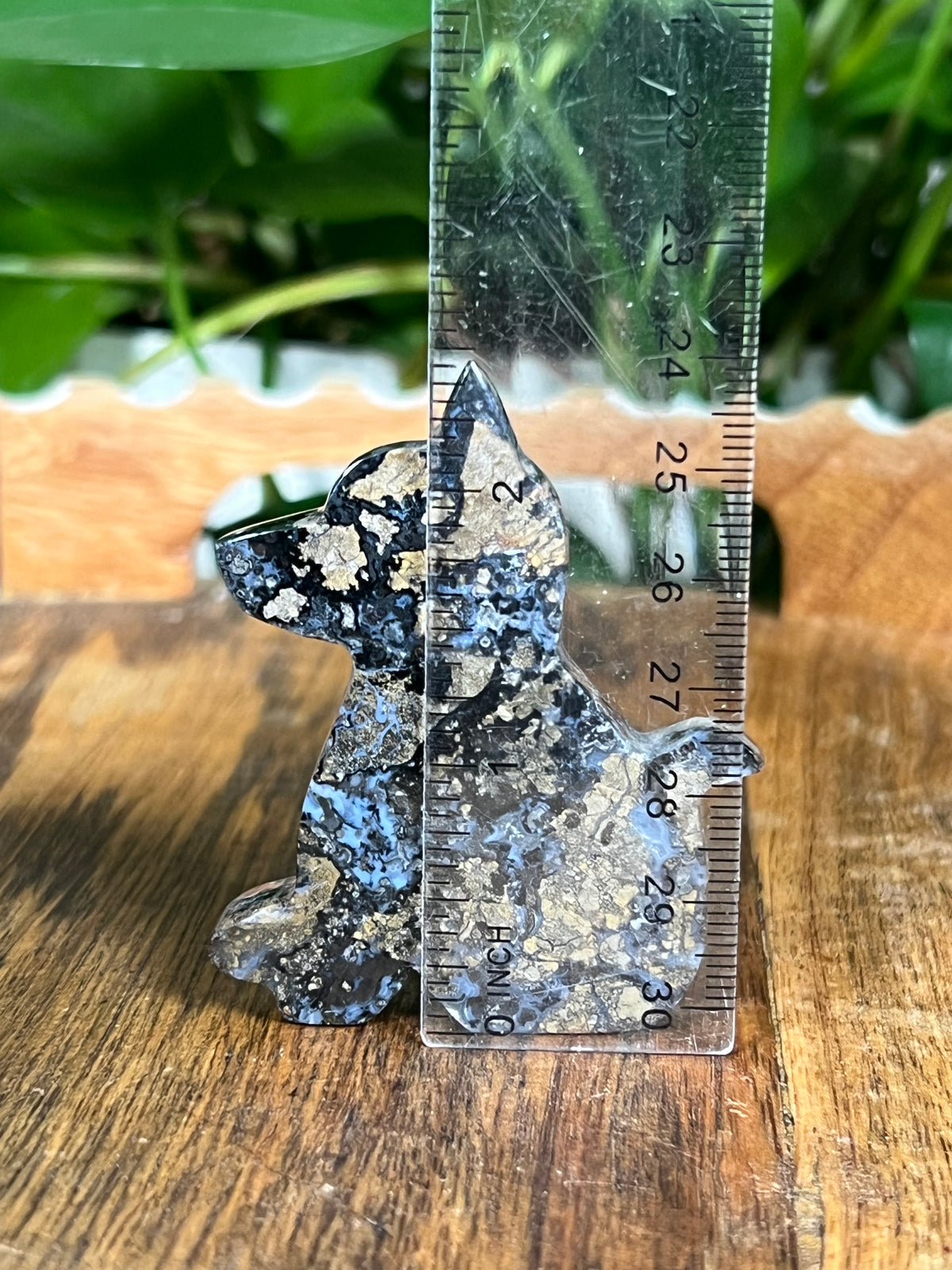 Brecciated Jasper Dogs