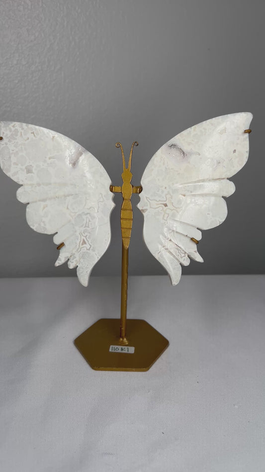 White Plume Agate Wings