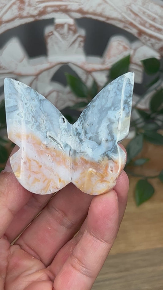 Rainbow Plume Agate 3D Butterfly