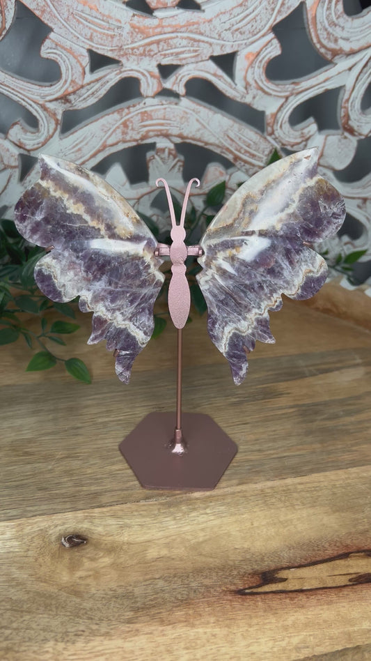 Indonesian Amethyst Wings
