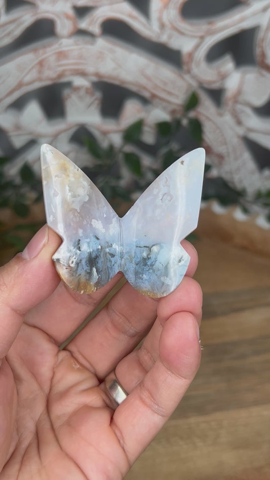 Rainbow Plume Agate 3D Butterfly