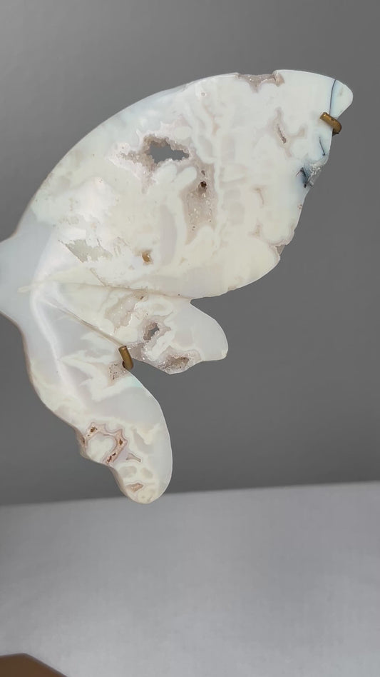 White Plume Agate Wings