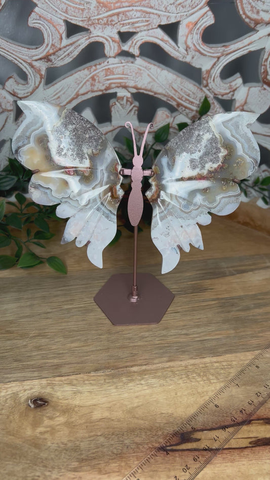 Scenic Moss Agate Wings