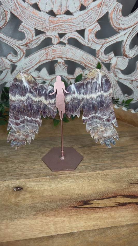 Indonesian Amethyst Wings