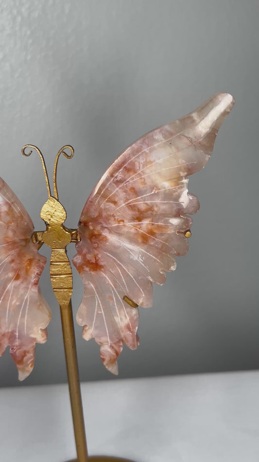 Carnelian Wings
