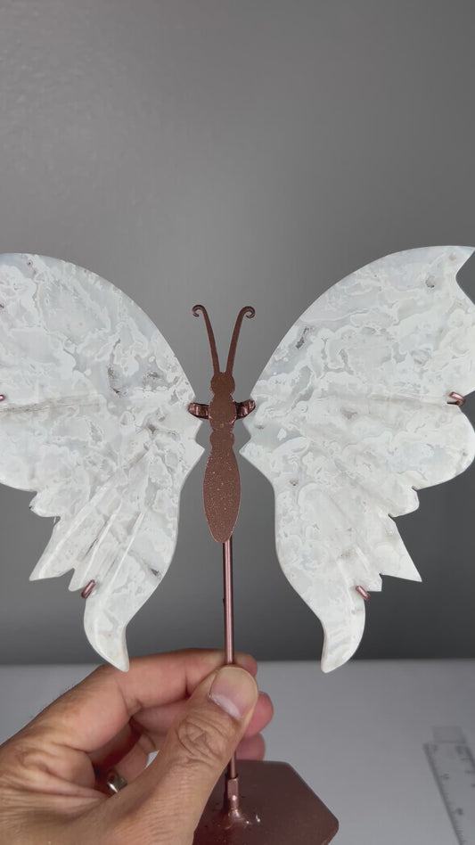 White Plume Agate Wings