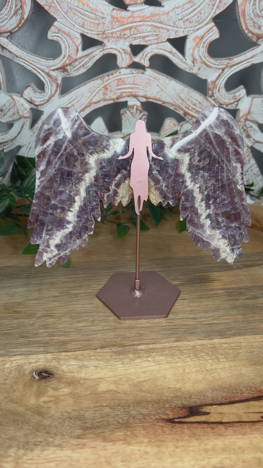 Indonesian Amethyst Wings