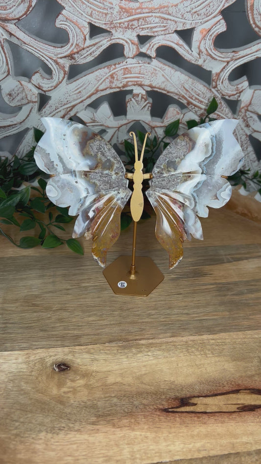 Scenic Moss Agate Wings