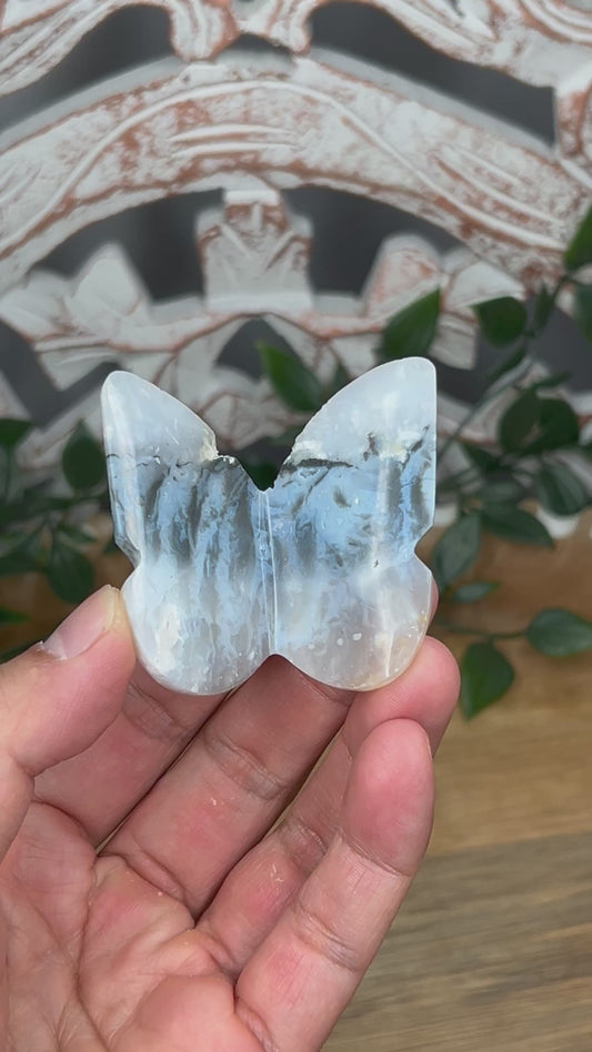 Rainbow Plume Agate 3D Butterfly