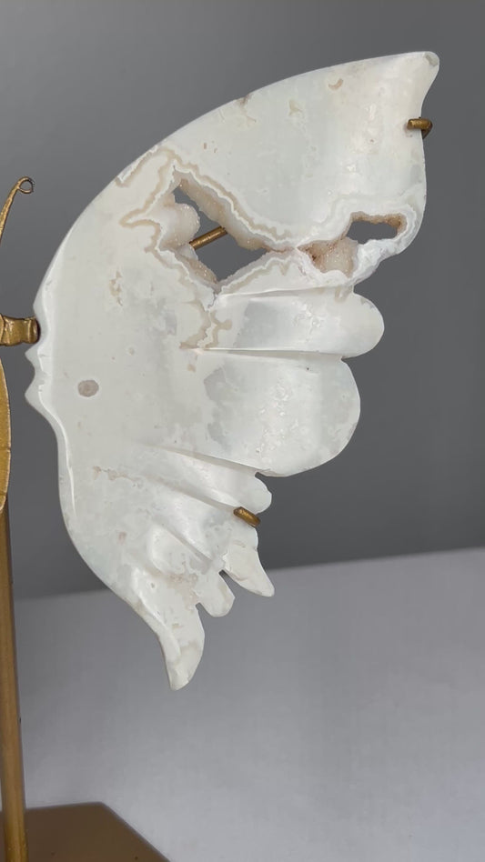 White Plume Agate Wings