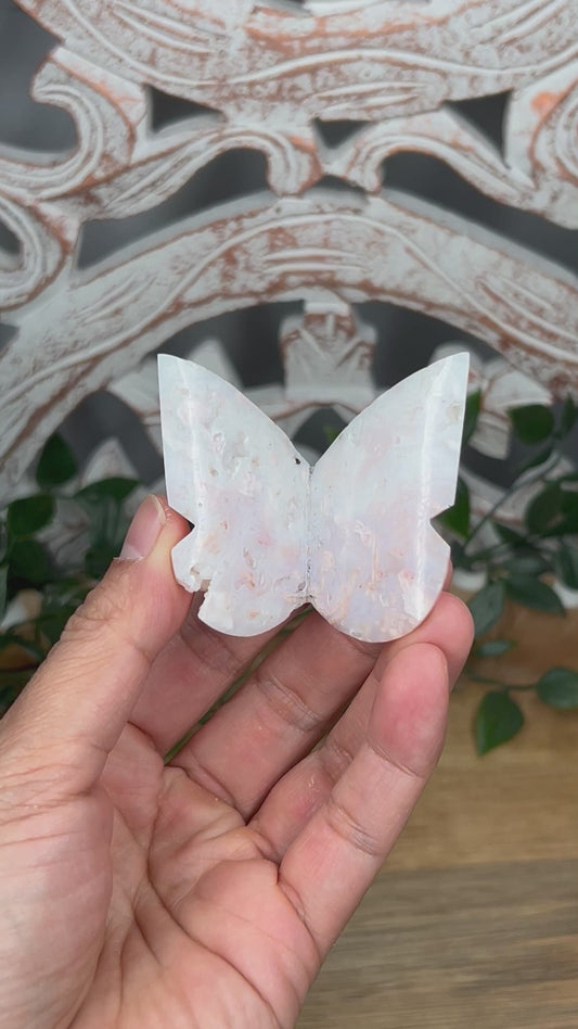 Rainbow Plume Agate 3D Butterfly