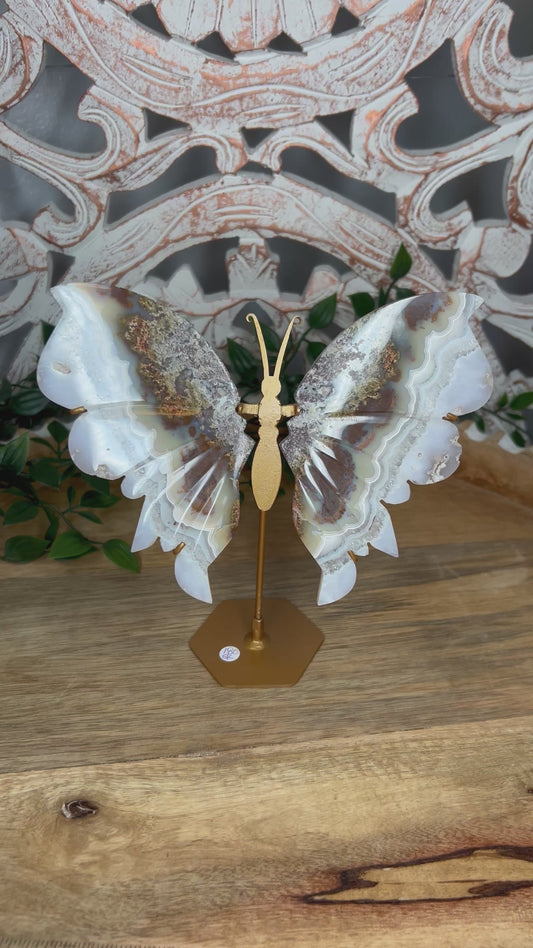 Scenic Moss Agate Wings