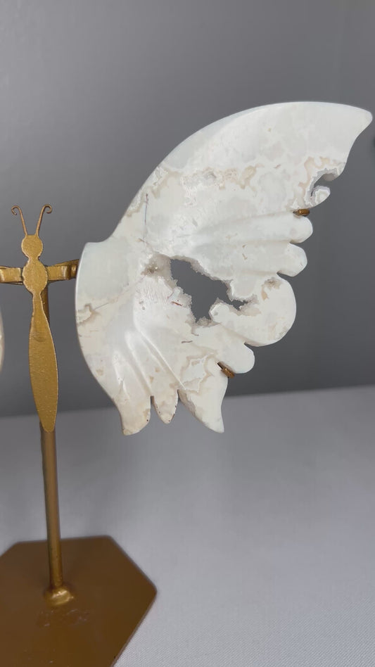 White Plume Agate Wings