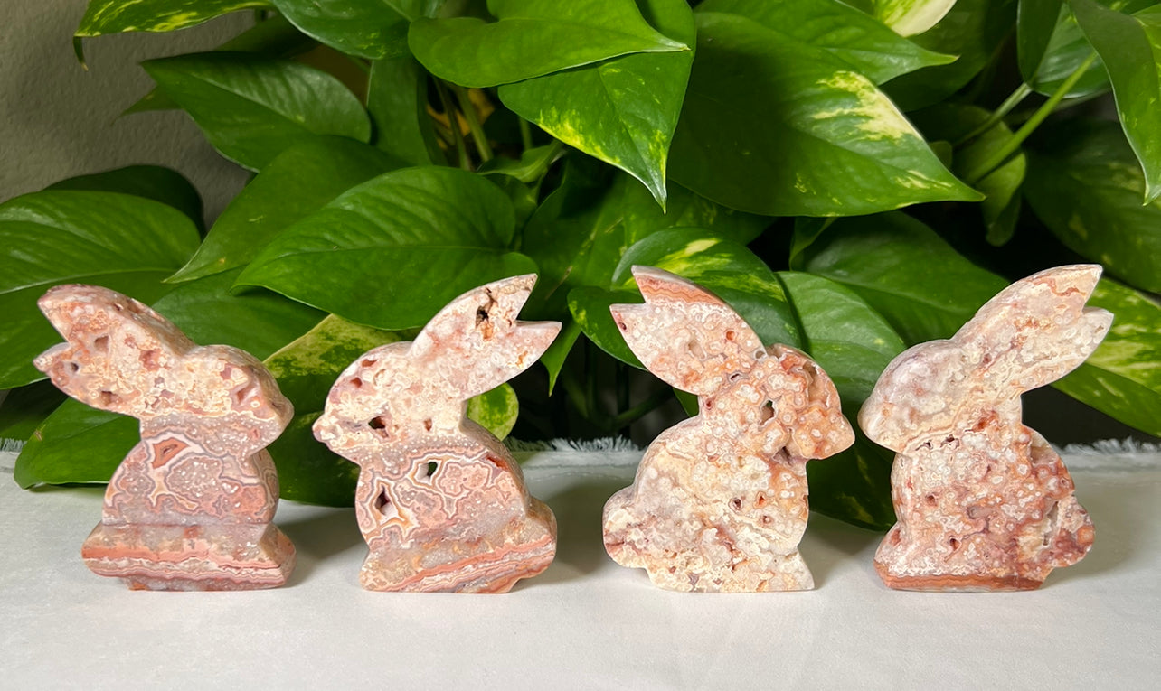 Crazy Lace Agate Bunny