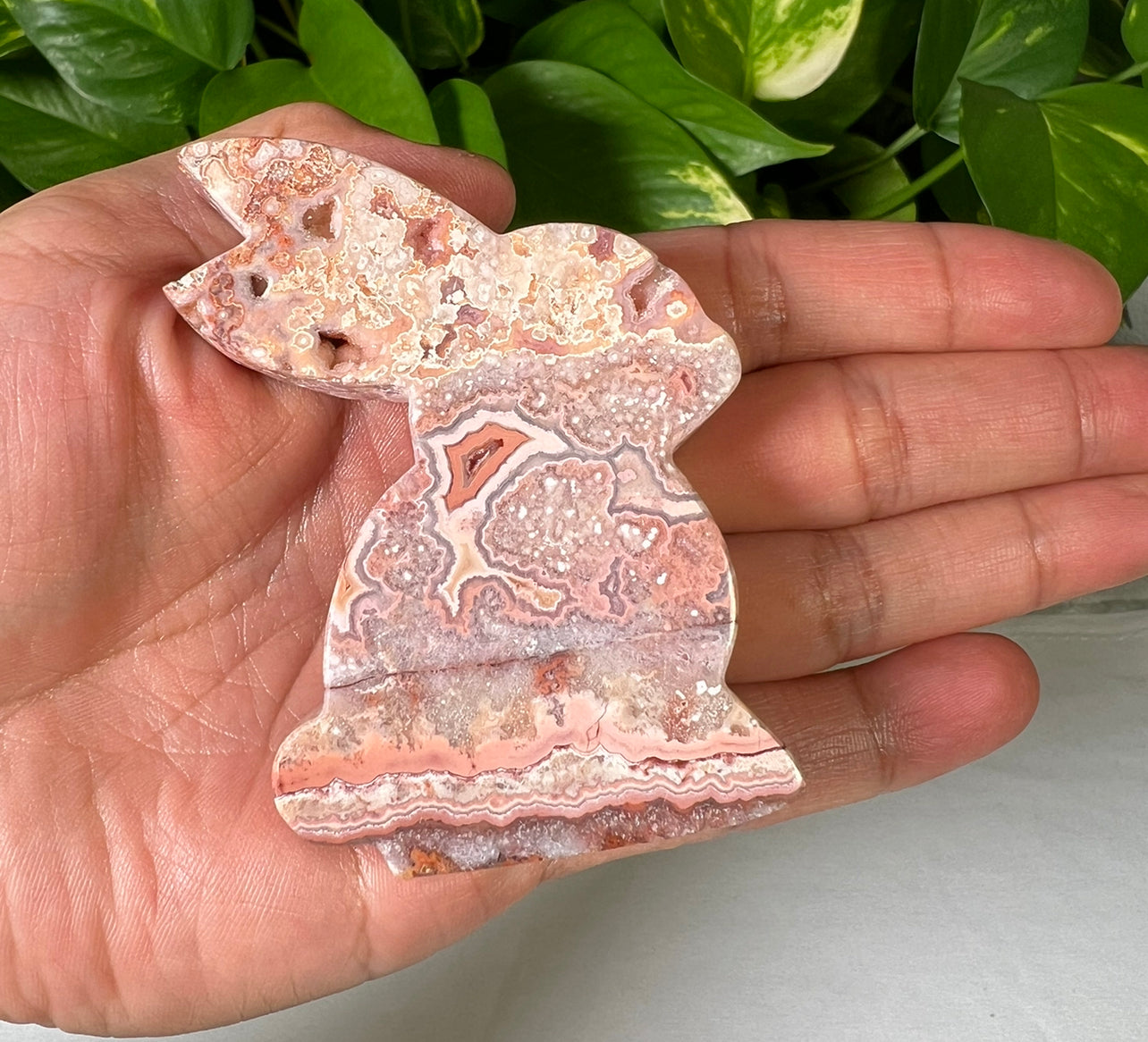 Crazy Lace Agate Bunny