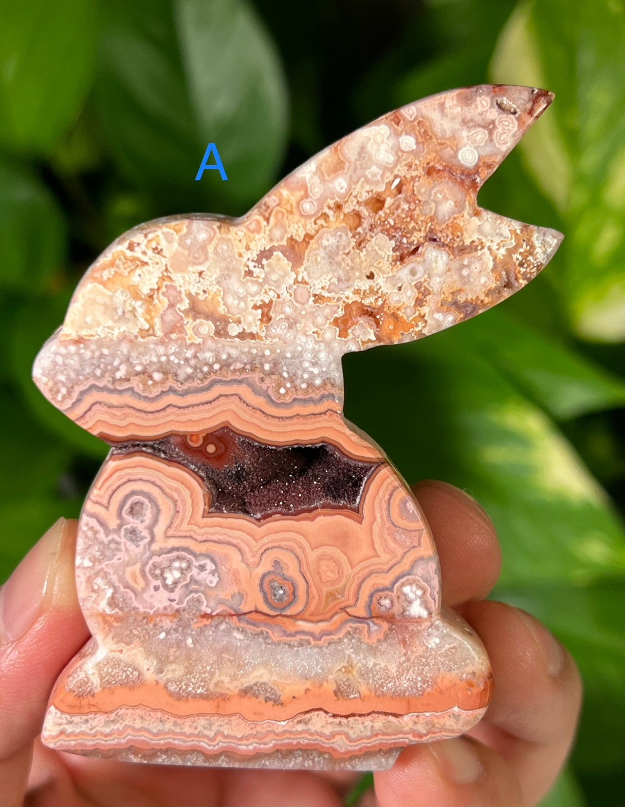 Crazy Lace Agate Bunny