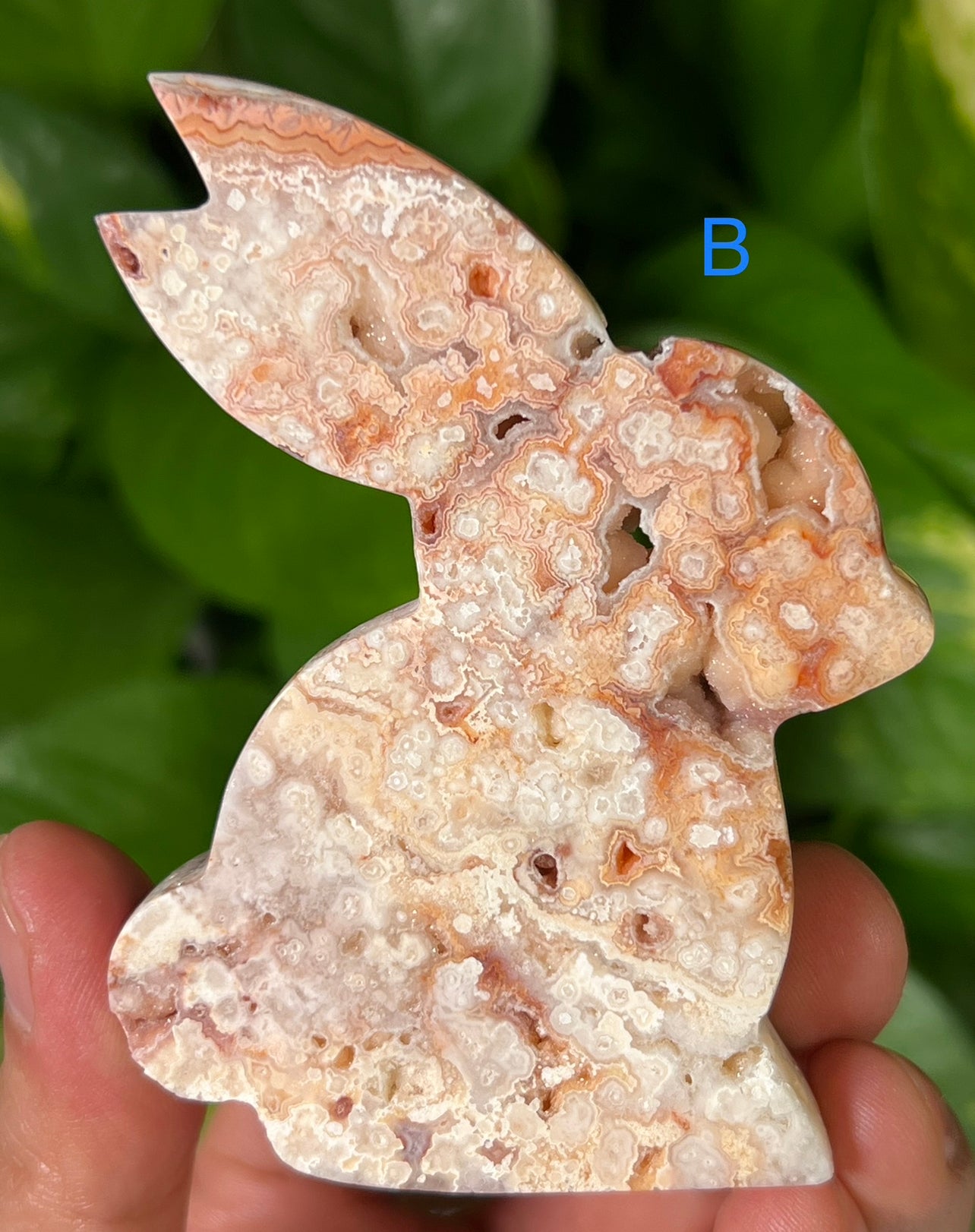Crazy Lace Agate Bunny