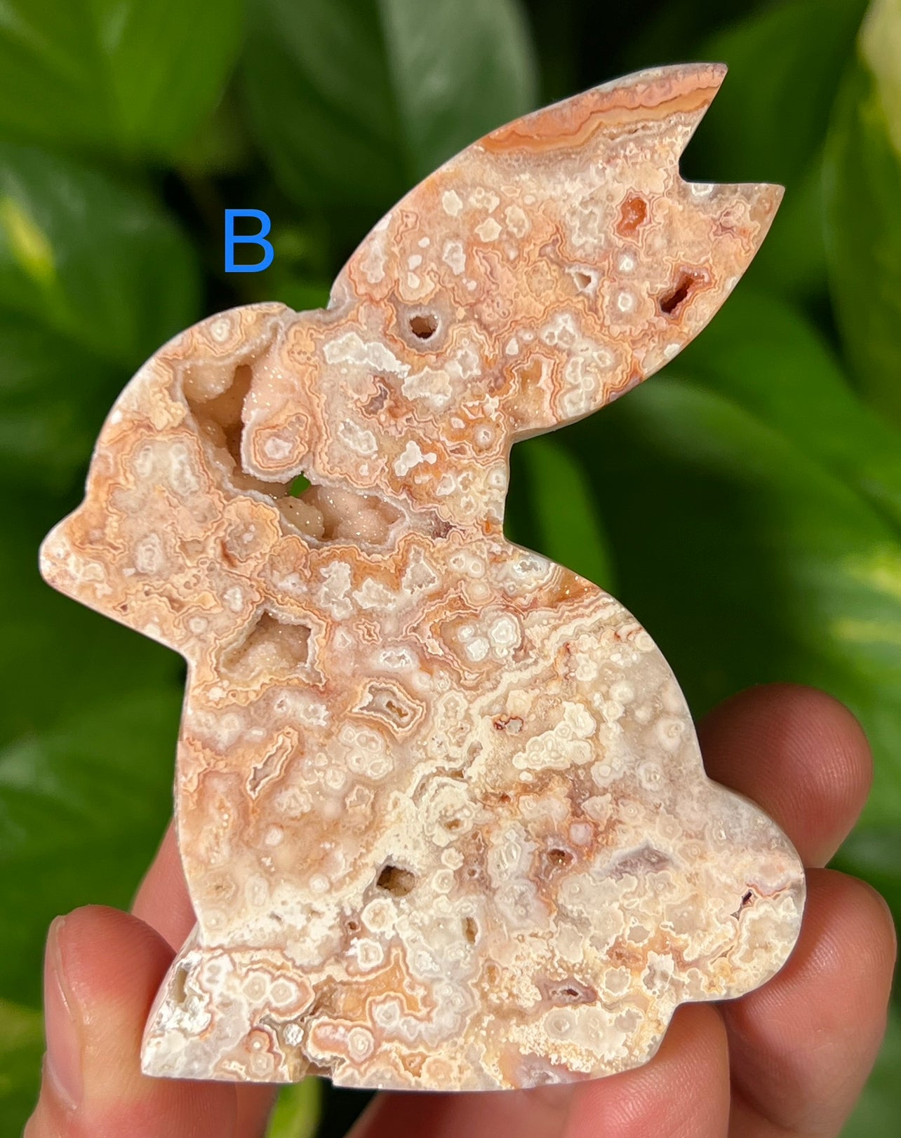 Crazy Lace Agate Bunny