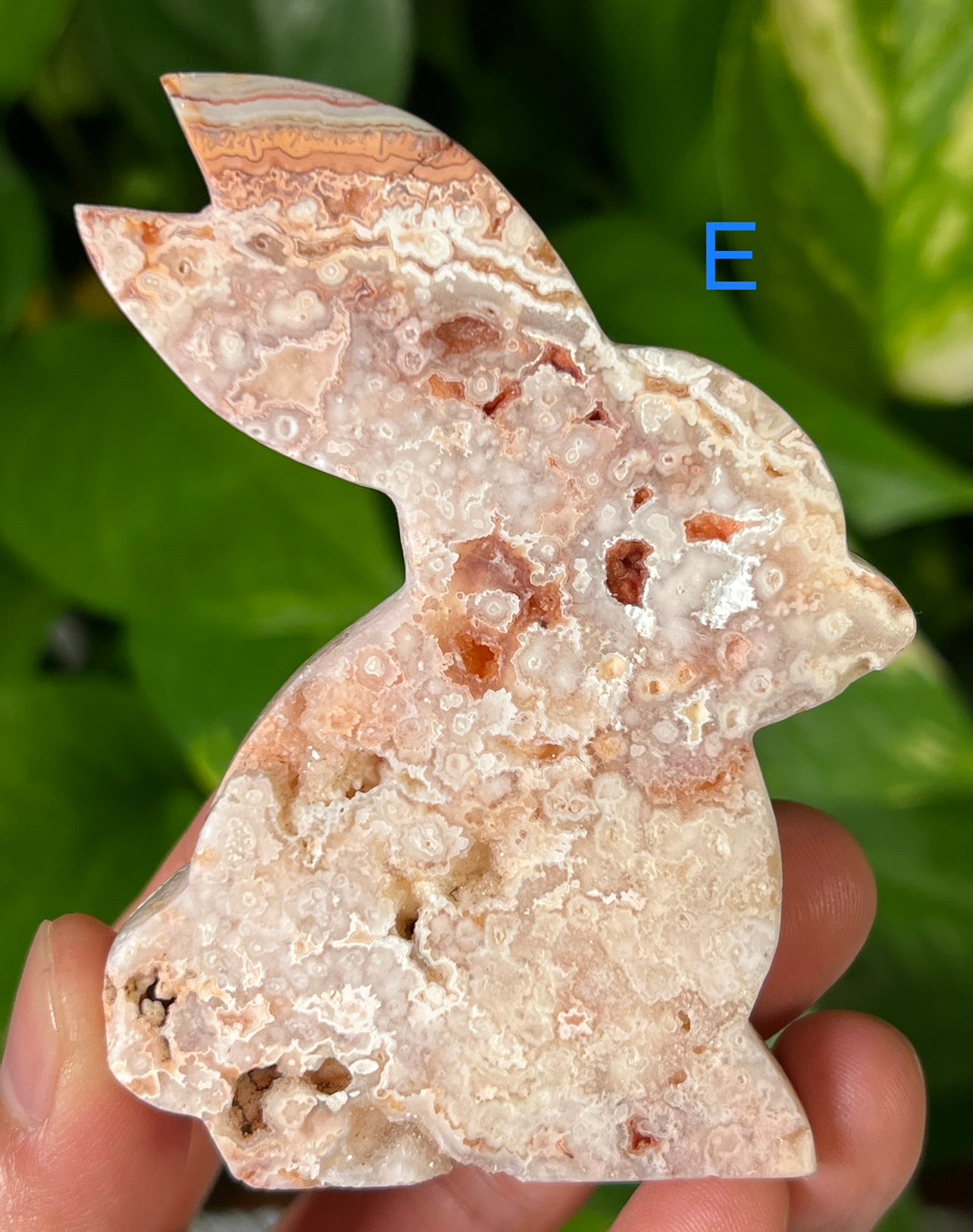 Crazy Lace Agate Bunny