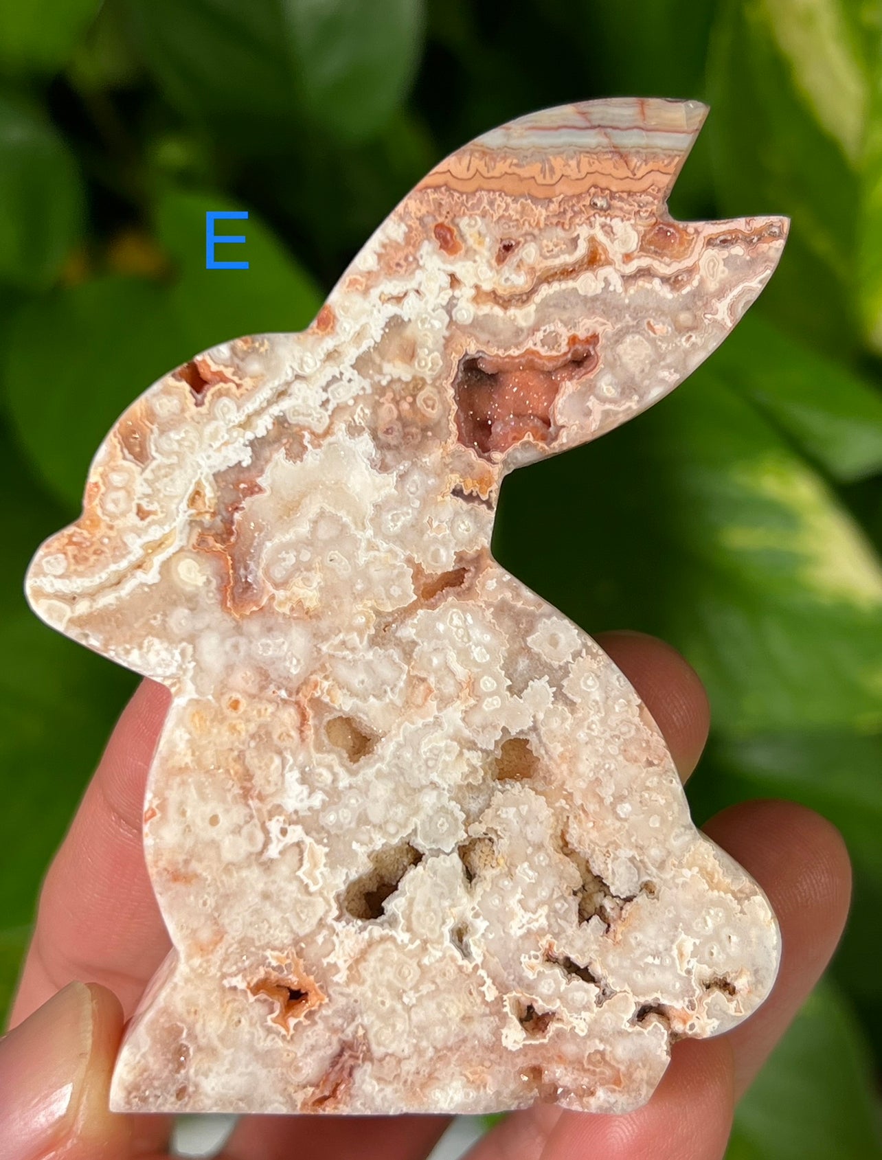 Crazy Lace Agate Bunny