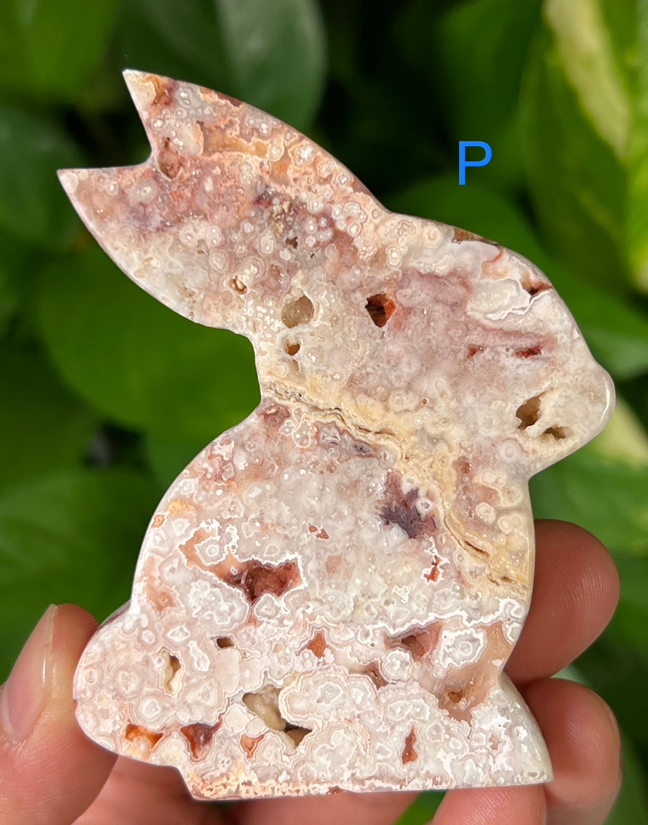 Crazy Lace Agate Bunny