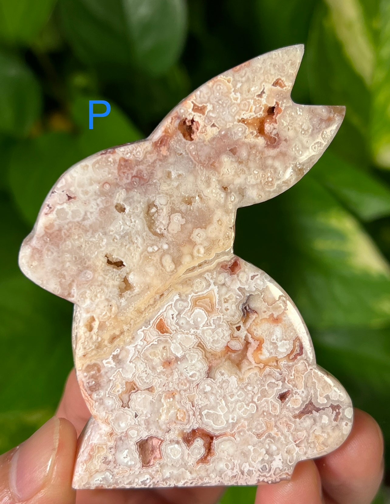 Crazy Lace Agate Bunny