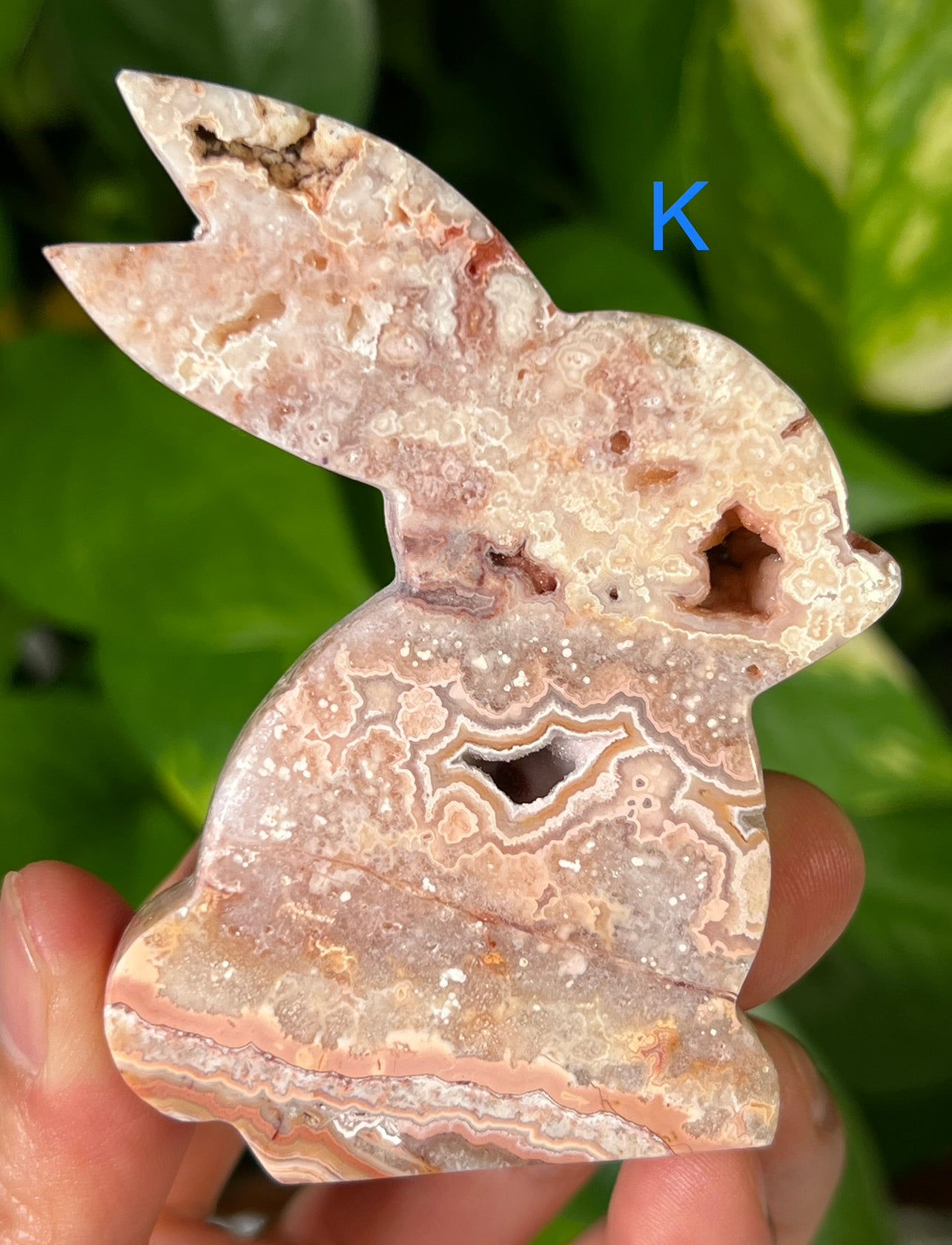 Crazy Lace Agate Bunny
