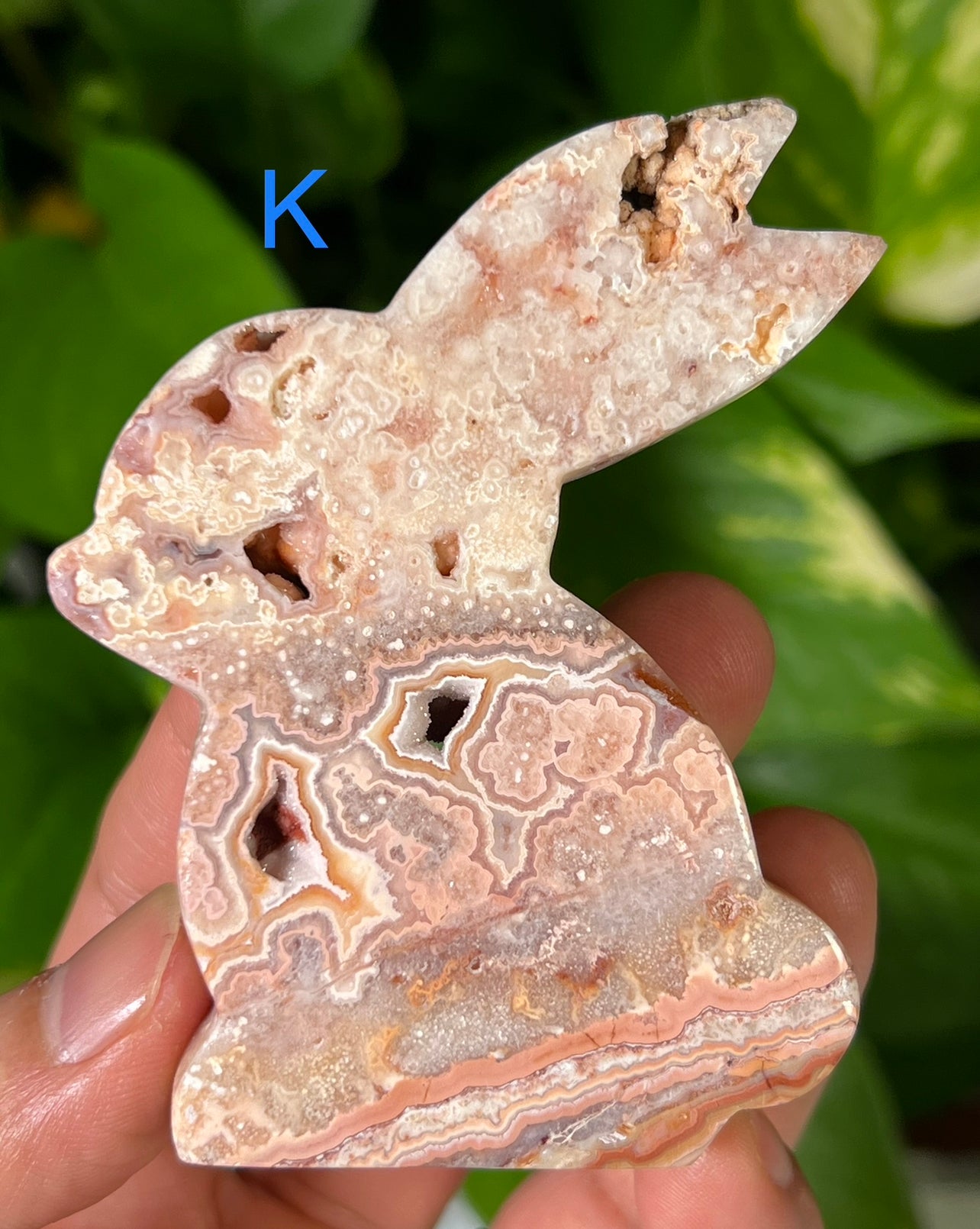 Crazy Lace Agate Bunny