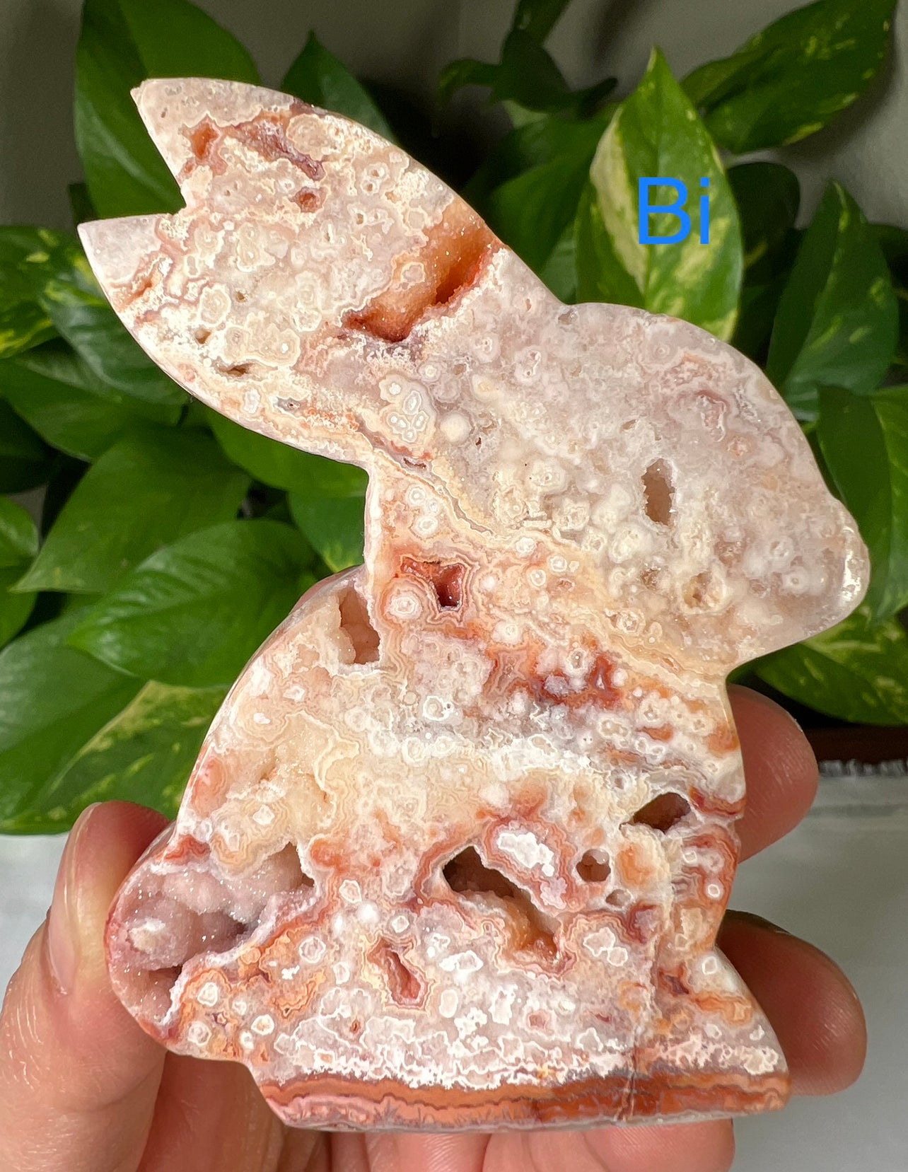 Crazy Lace Agate Bunny
