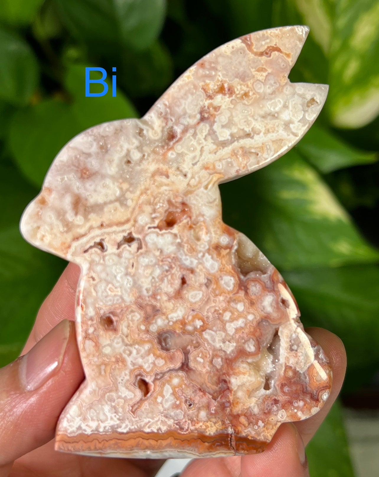 Crazy Lace Agate Bunny