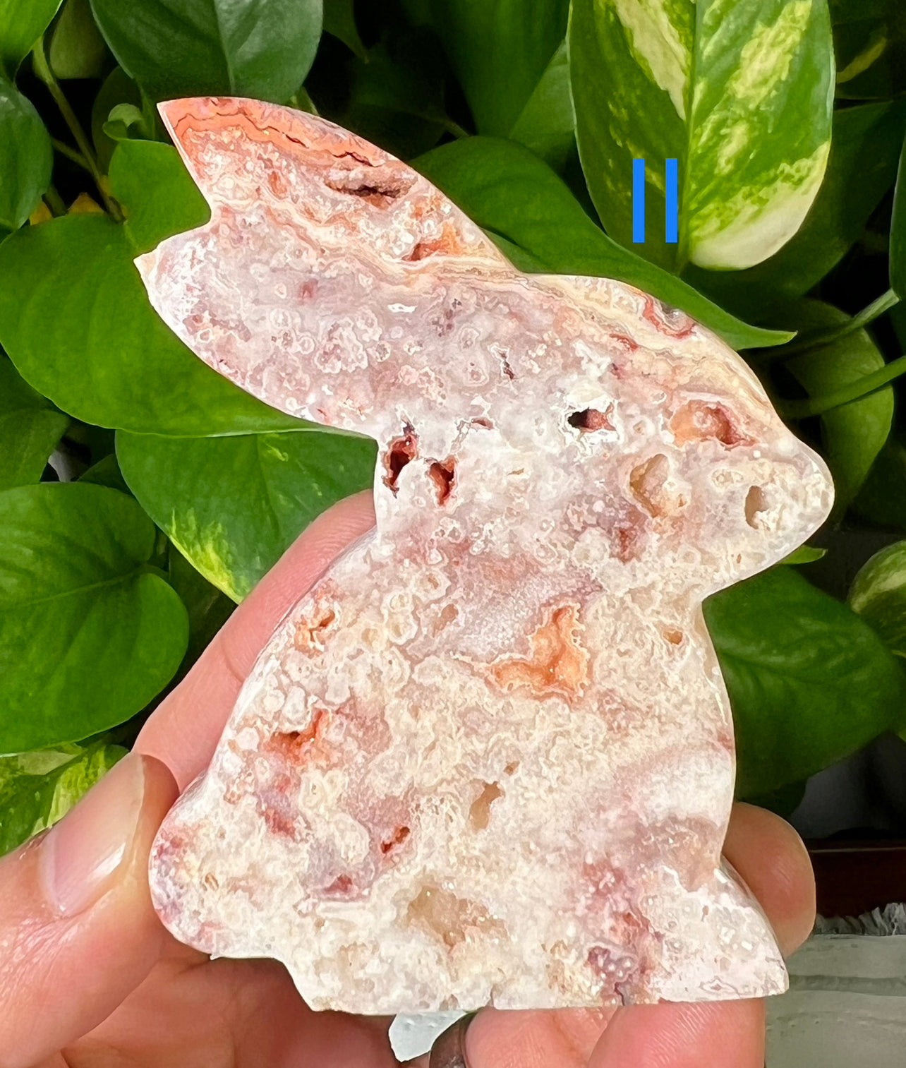 Crazy Lace Agate Bunny