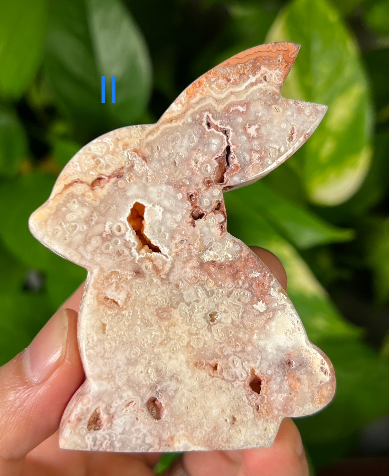 Crazy Lace Agate Bunny