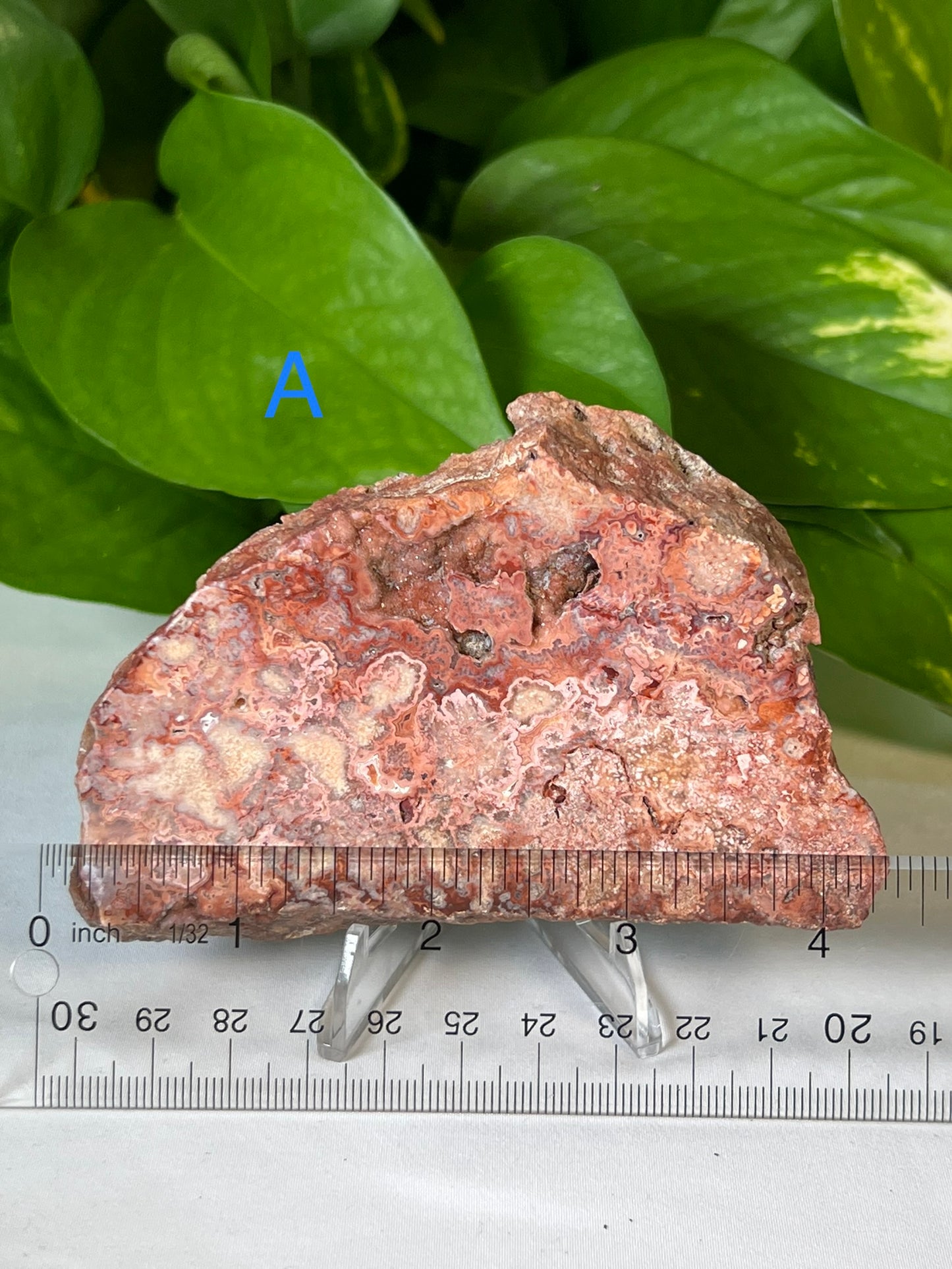Crazy Lace Agate Slabs