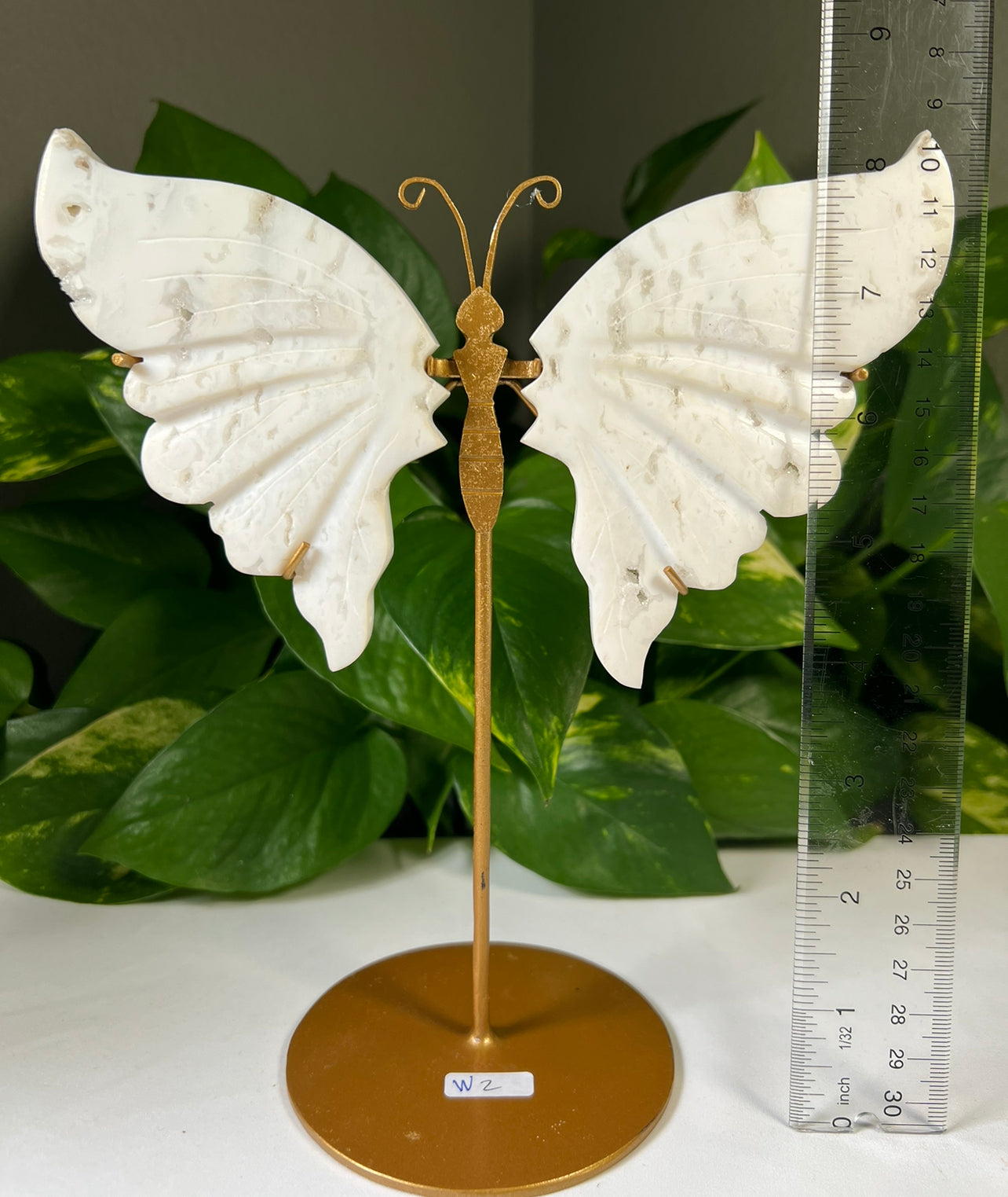 Snow Agate Wings