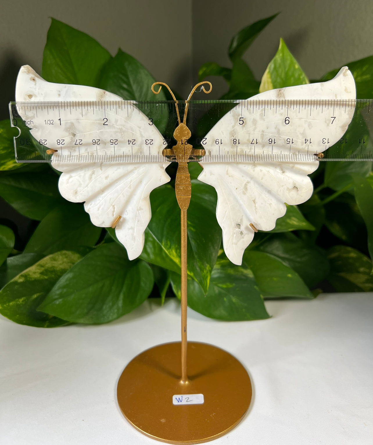 Snow Agate Wings