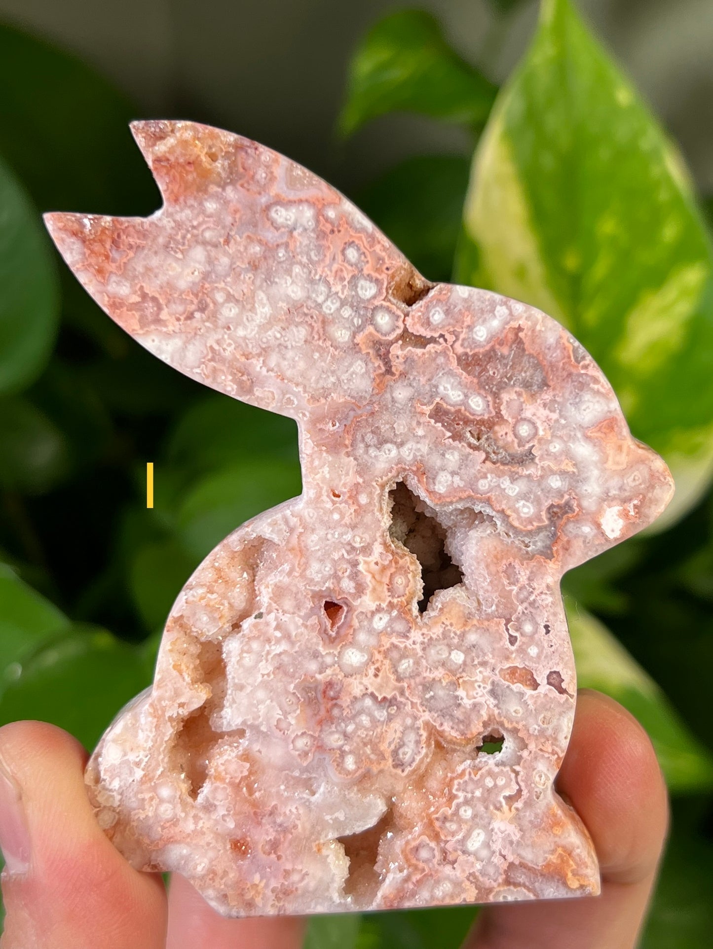 Crazy Lace Agate Bunny