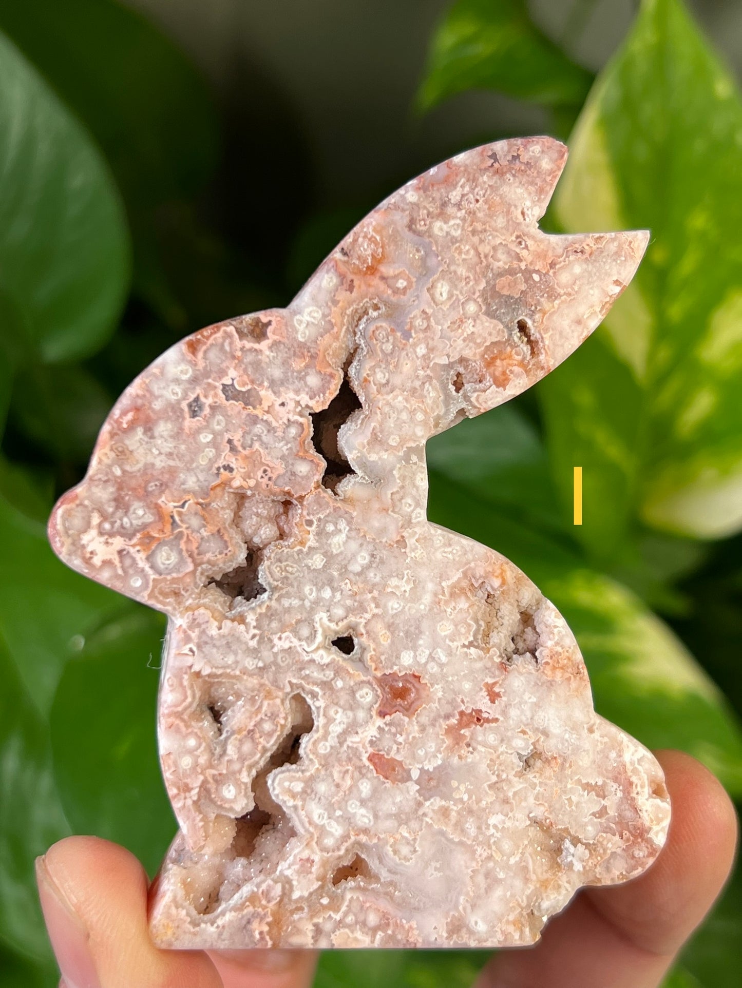 Crazy Lace Agate Bunny
