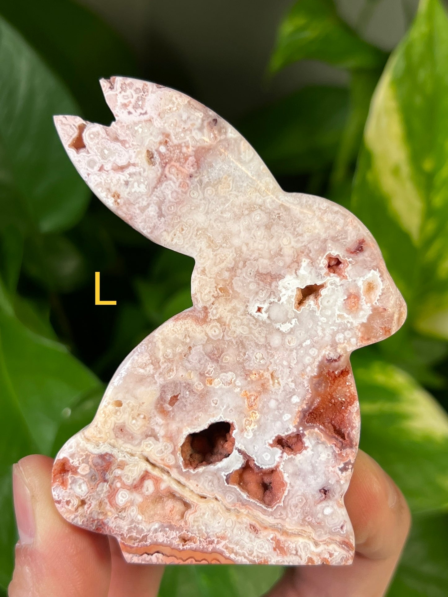 Crazy Lace Agate Bunny