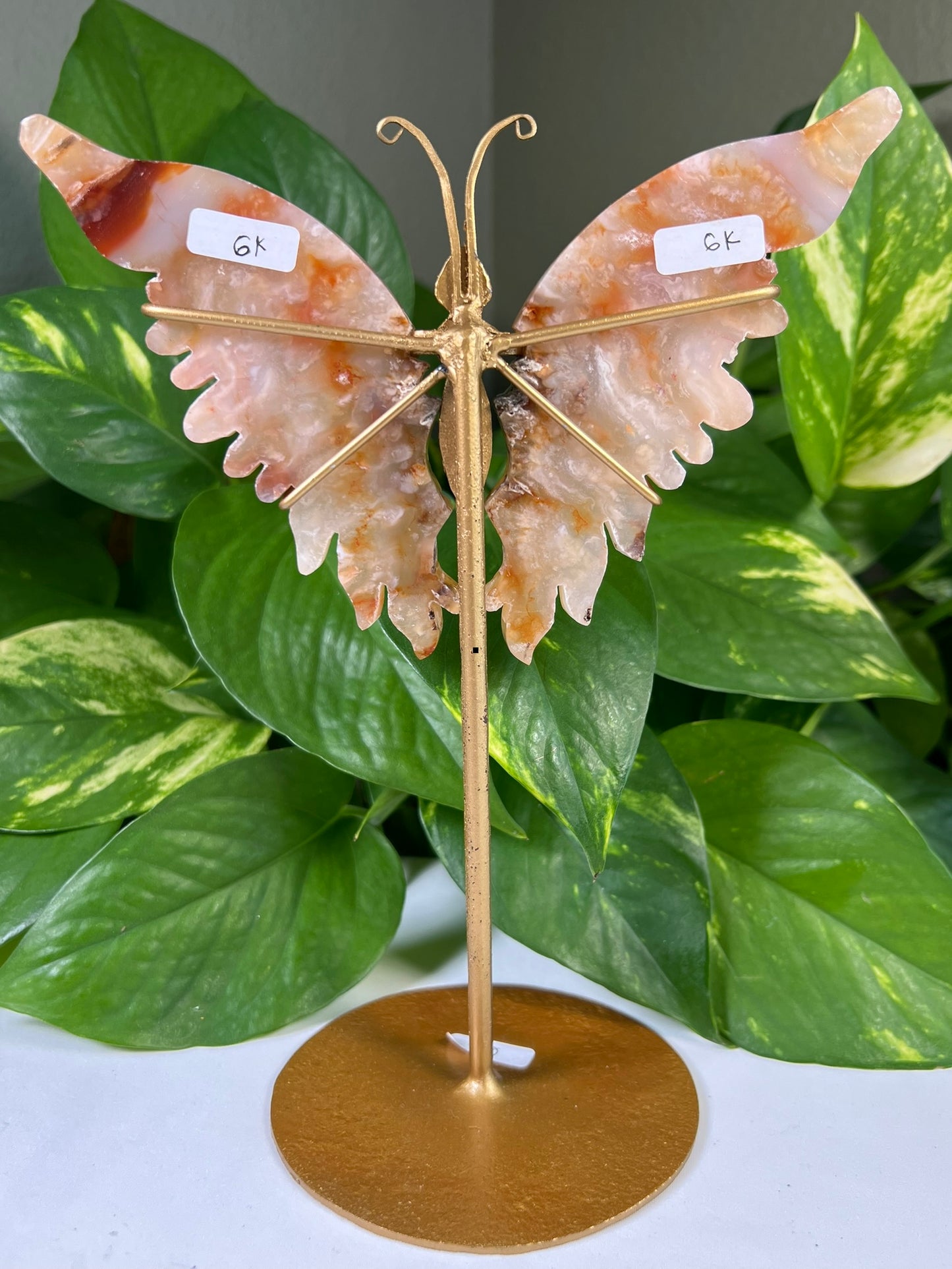 Red Carnelian Flower Agate Wings