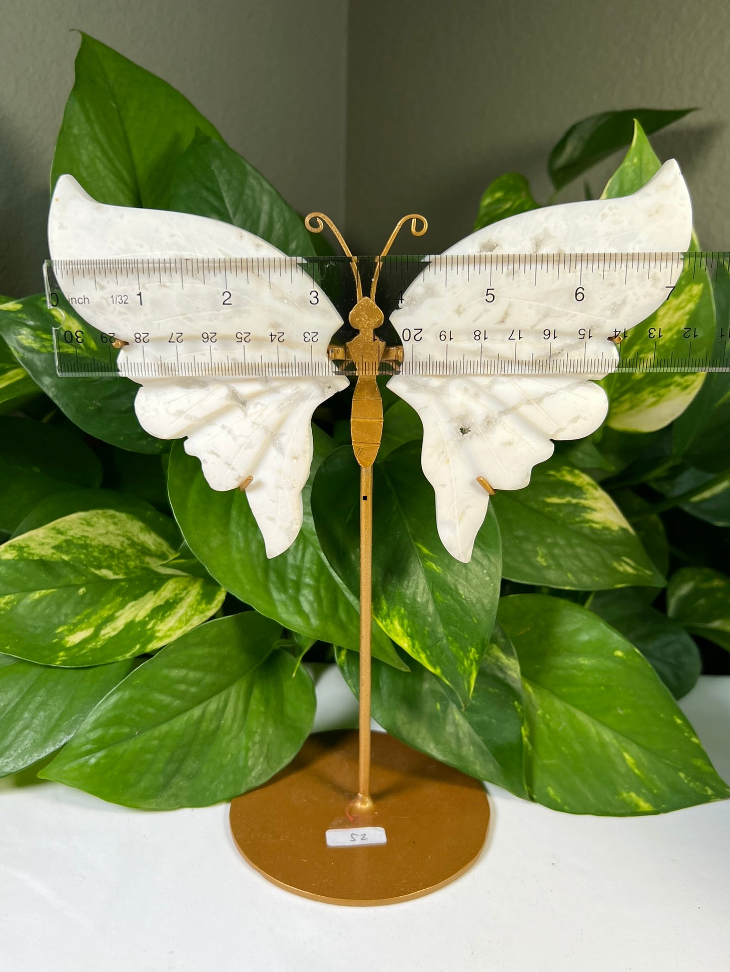 Snow Agate Wings