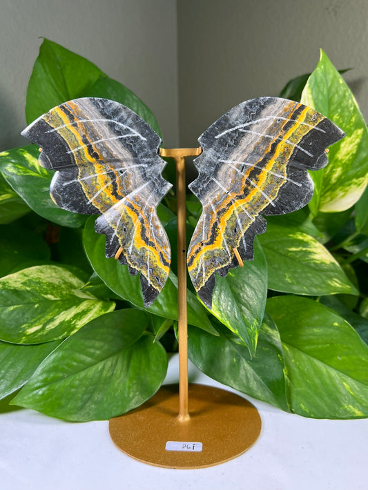 Bumblebee Jasper Wings