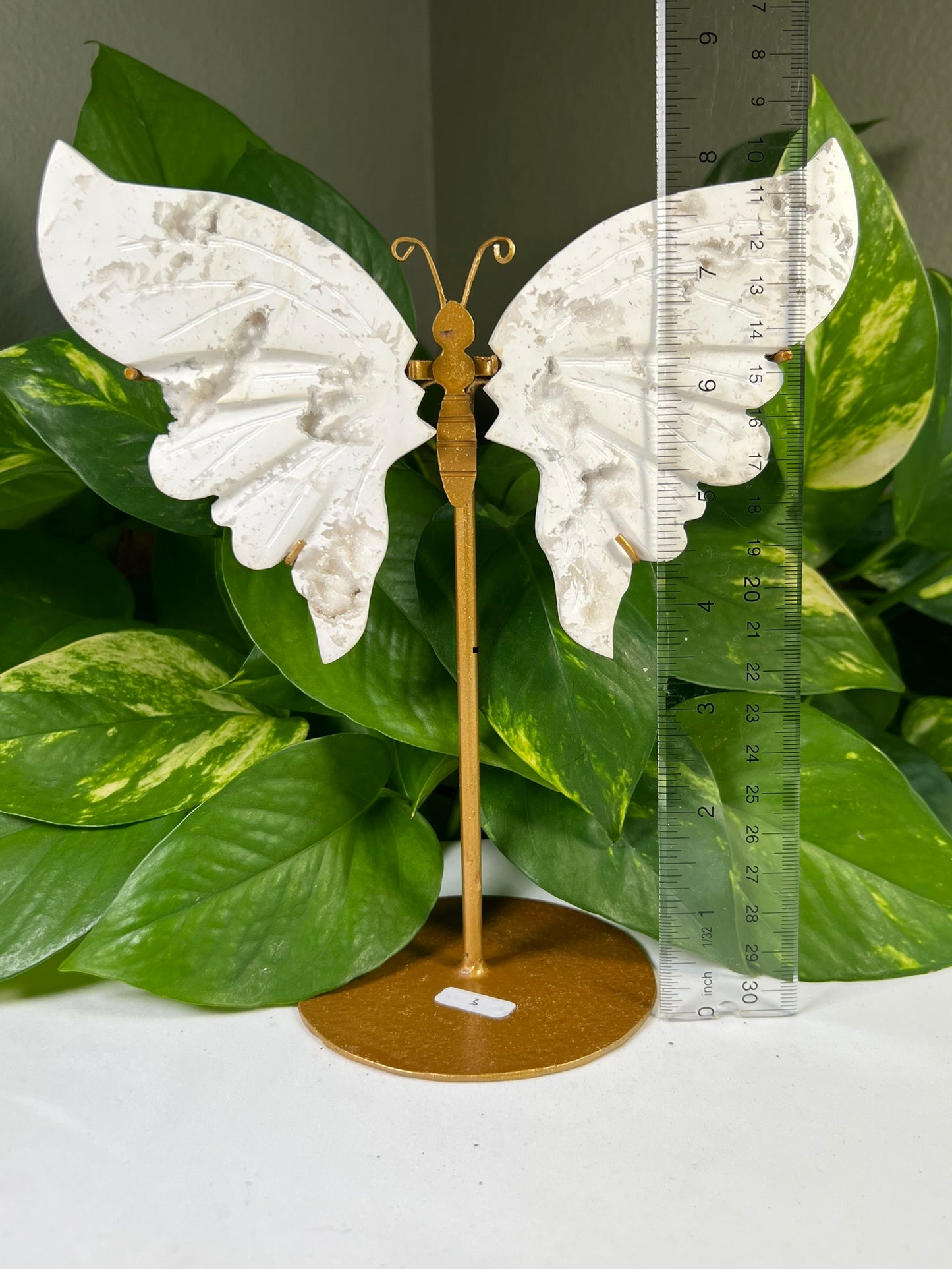 White Snow Agate Wings