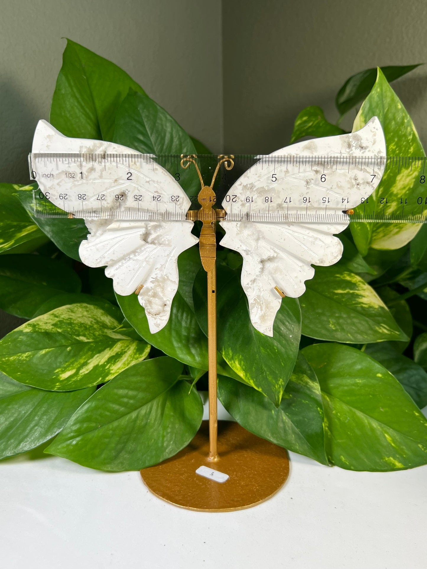 White Snow Agate Wings