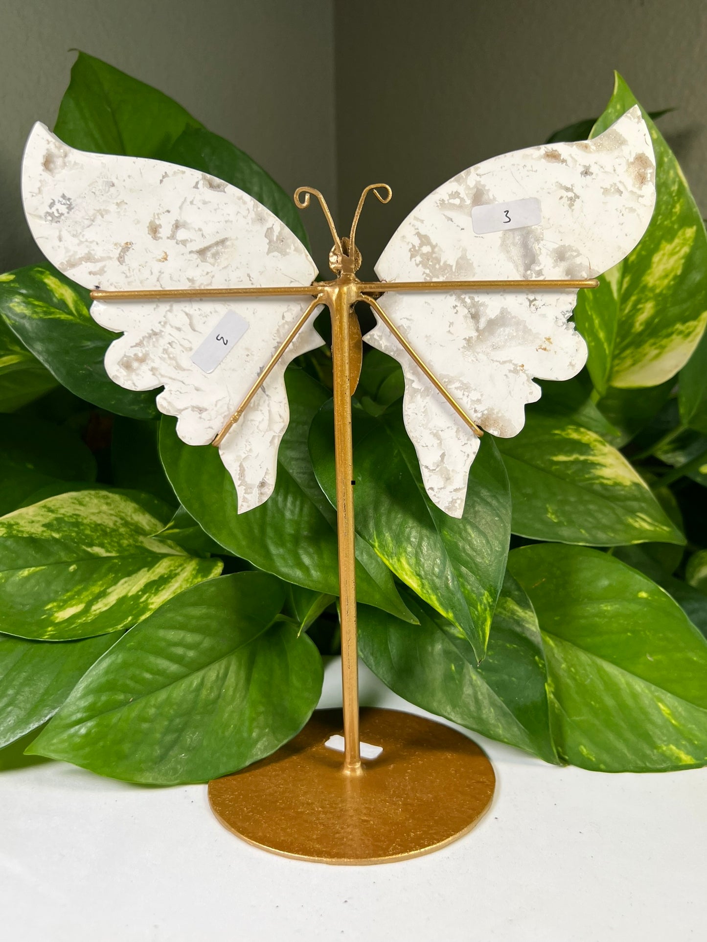 White Snow Agate Wings