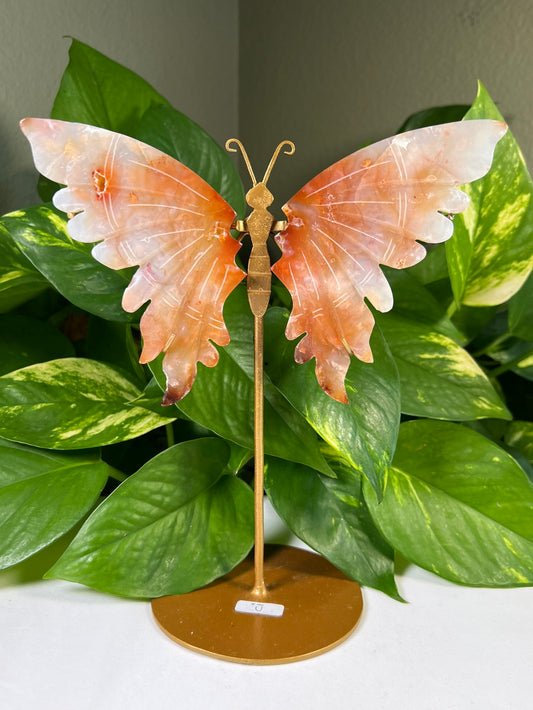 Red Carnelian Flower Agate Wings