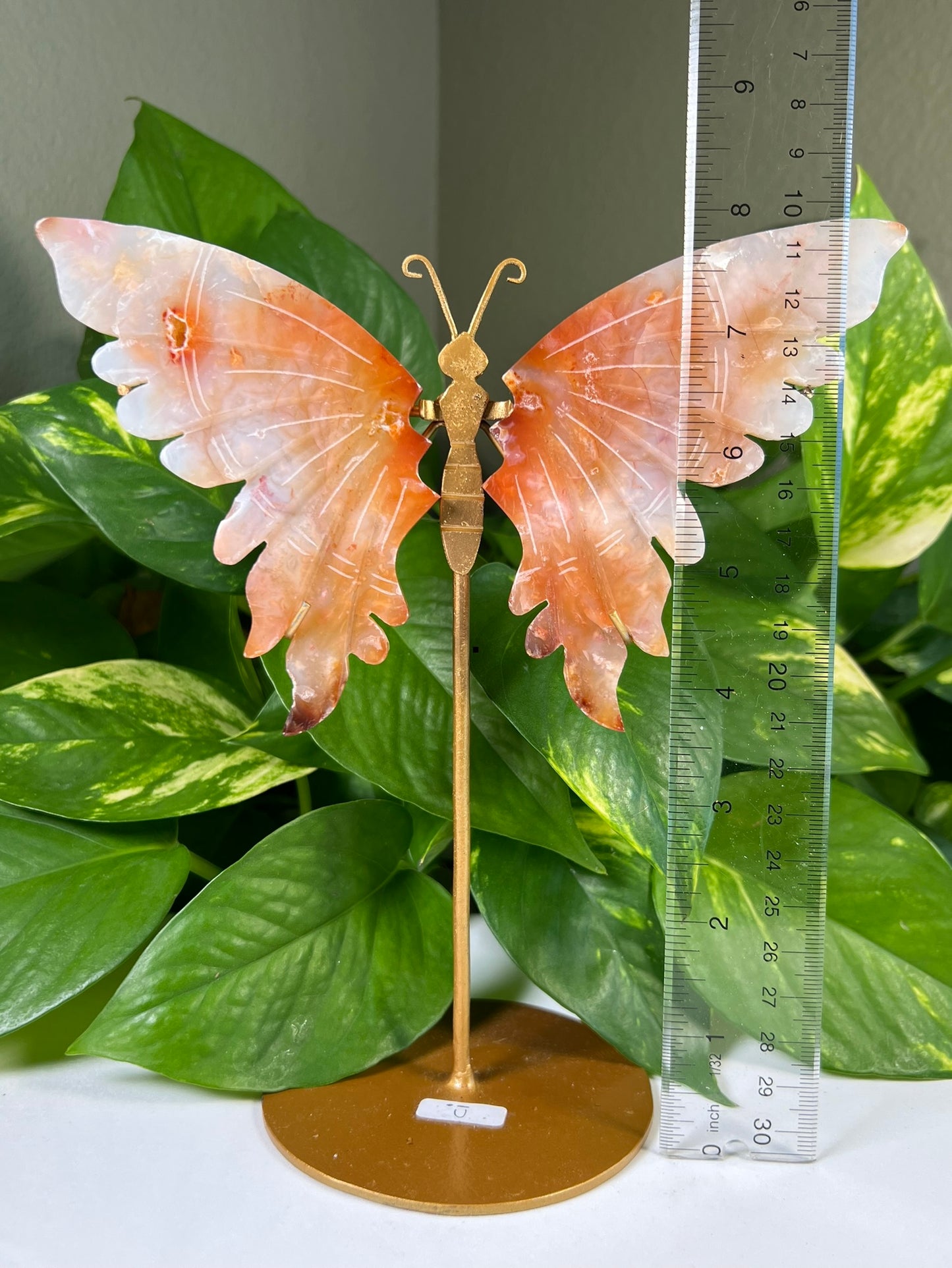 Red Carnelian Flower Agate Wings