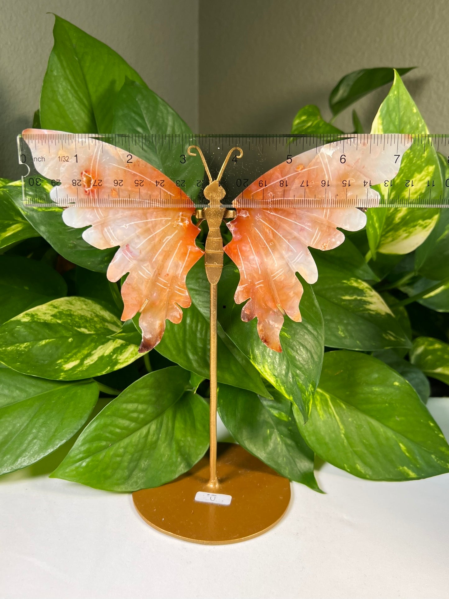 Red Carnelian Flower Agate Wings
