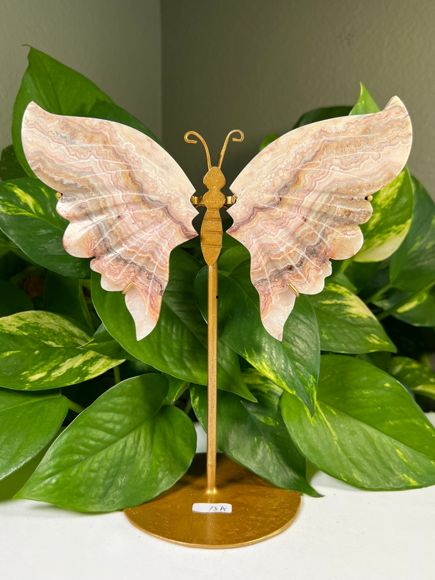 Crazy Lace agate Wings