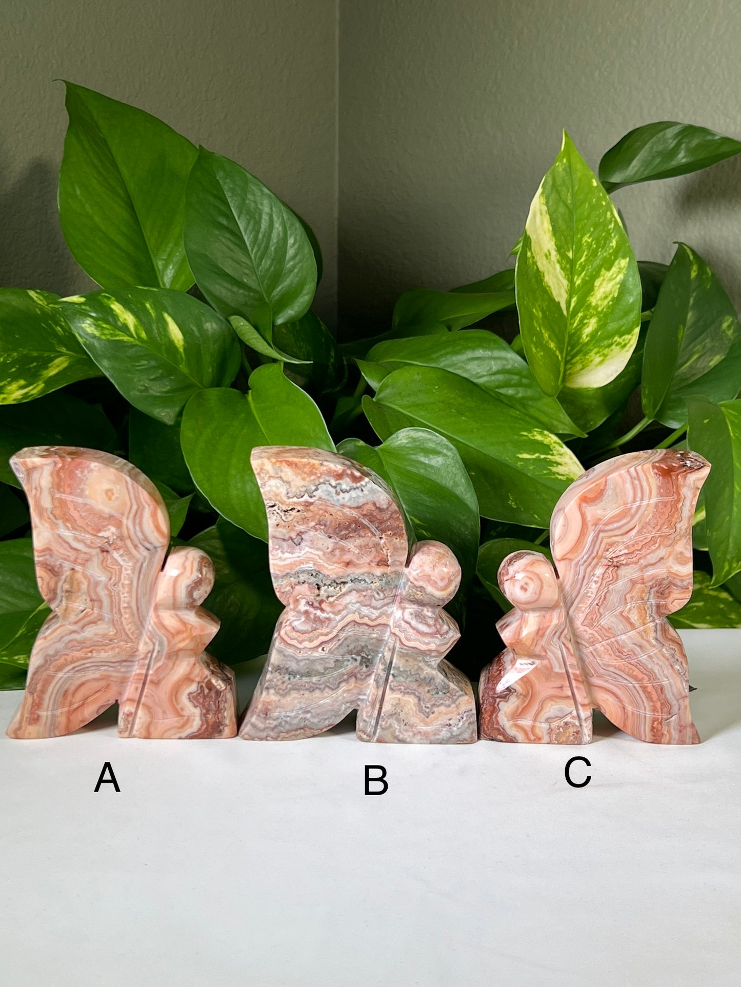 Large Crazy Lace Agate Fairies